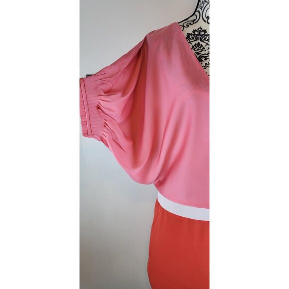 DIANE Von FURSTENBERG DVF Edna SILK Color Pink DOLMAN SLEEVE BELT DRESS Size 10 - Picture 9 of 16